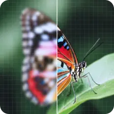 Image Upscale for Professional Photography